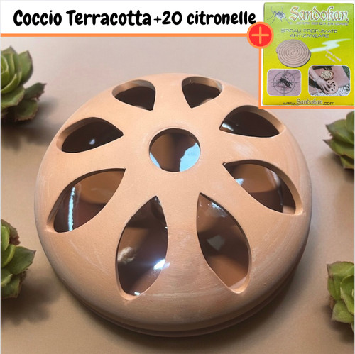Contenitore terracotta - contenitore, in