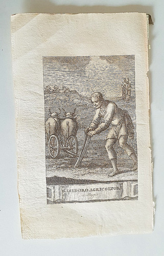 Stampa incisione epoca da - incisione, d'epoca