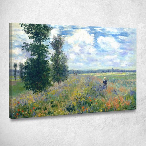 Campo papaveri argenteuil - di,