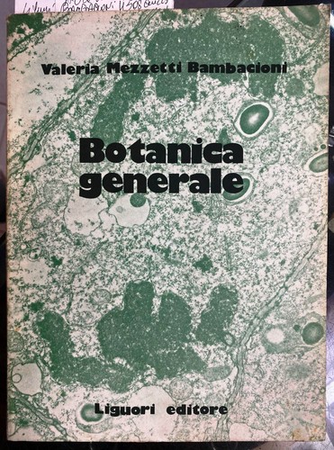 Mezzetti - v.,