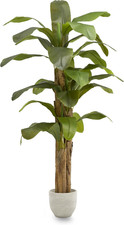Banano Artificiale 180 Cm