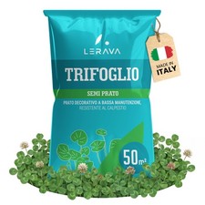 Lerava trifoglio nano - trifoglio, semi