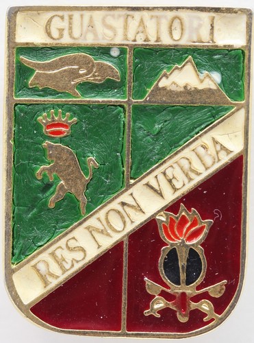 Distintivo reggimento genio - distintivo,