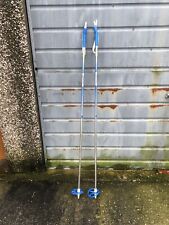 Swix Skii Ski Composito Coppia