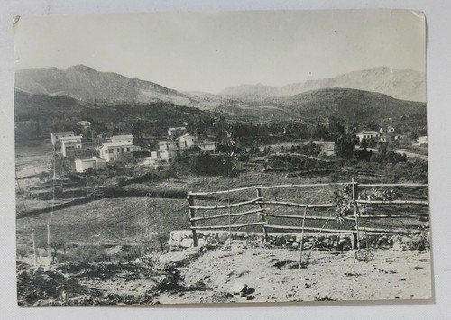 73064 6066 cartolina palermo - cartolina,