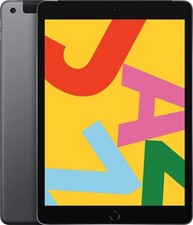 Apple iPad 7 (2019) WiFi 32GB Grigio Siderale A2197,Molto buono - Ricondizionato