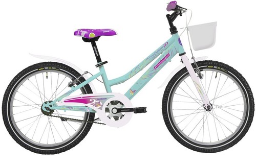Bicicletta bambina mountain - bicicletta, da