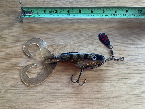 Pesca luccio irlanda abu - luccio,