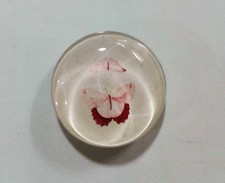 Magnete Farfalle Butterfly