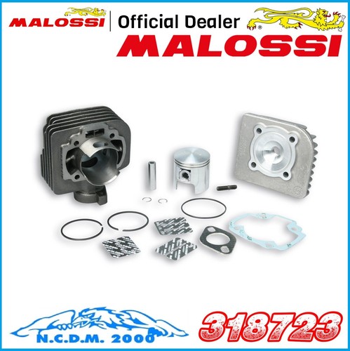 Gruppo termico malossi - malossi, Ø