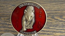 US Army Forward Support Company 2-2 10th Mountain Division Challenge Coin #638W