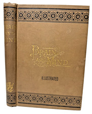 RARE Brain and Mind Phrenology