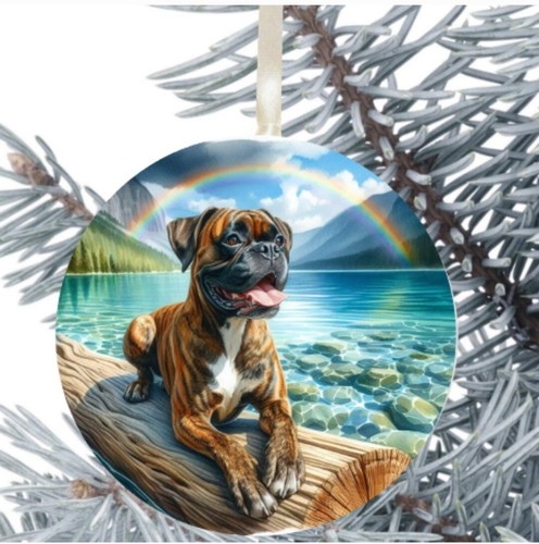 Boxer cucciolo cane - boxer,