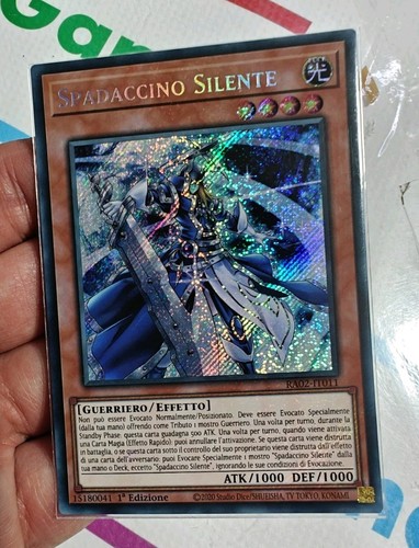Spadaccino silente silent - spadaccino, •