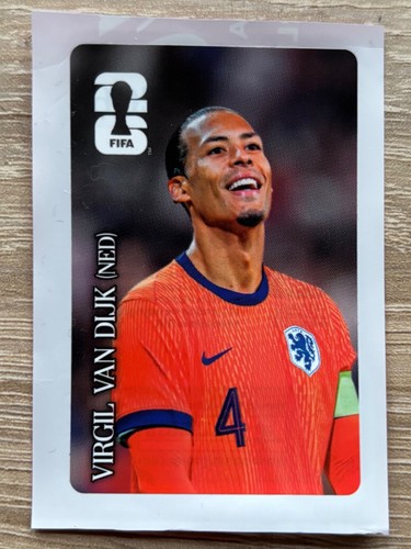 Panini fifa world - panini,