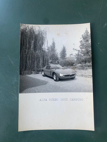 Alfa romeo 1600 canguro - romeo,
