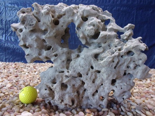 Texas holey rock - 10#,