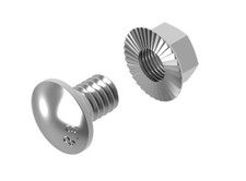 100 x vite tonda piatta M6 x