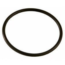 O-RING SPINTEROGENO ORIGINALE