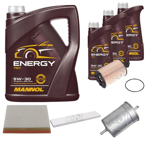 Pacchetto ispezione mannol - 8l,
