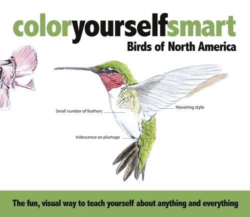 Color yourself smart - color,