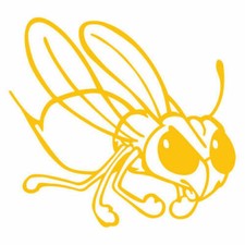 Kit 2 adesivi tuning APE bee