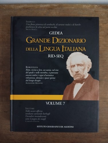Grande dizionario della lingua - dizionario,
