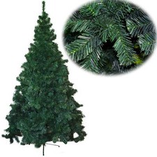 ALBERO DI NATALE  PINO DELLA