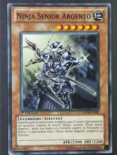 NINJA SENIOR ARGENTO  in