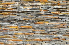 Fotomurale TESSUTO NON TESSUTO