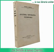 Libro illustrato di Zimmerl