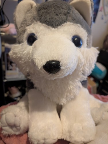 Miu alaskan malamute - malamute, plush