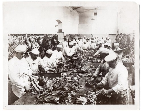1915 preparazione esercito - preparazione,