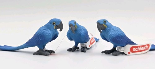 Lot wild life - of,