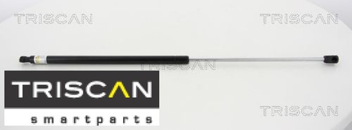 Triscan 871012107 molla - 871012107, gas