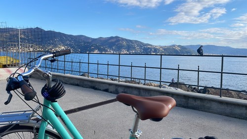 Bici bianchi spillo rubino - bici,