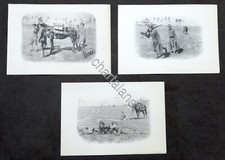 Militaria Lotto 3 Stampe