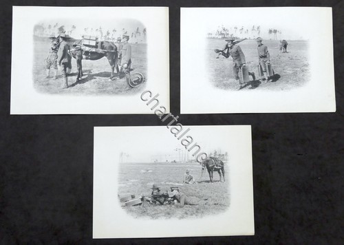 Militaria lotto stampe - lotto,