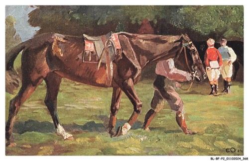 Bfp2 0873 animali cavallo - -,