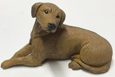 3  1/2  inch Rhodesian
