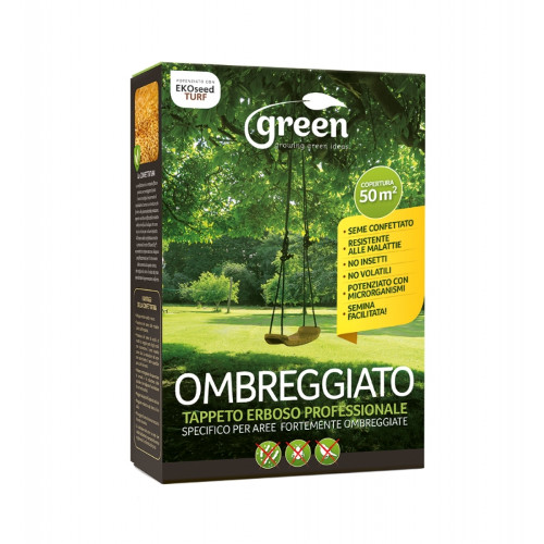 Seme tappeto erboso prato