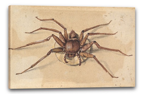 Tela cornice jan vincentsz van - tela/cornice,