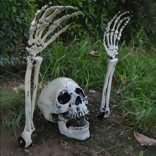 Scheletro halloween stile - halloween,