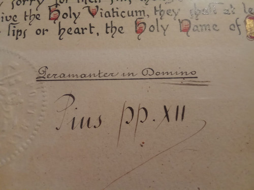 Papa pio xii perfetta - xii,