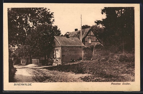 Cartolina binenwalde der - binenwalde,,