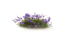 Woodland Scenics WFS772 ciuffo di erba viola fiorito