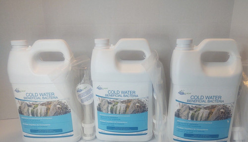 Aquascape stagno acqua fredda - stagno,