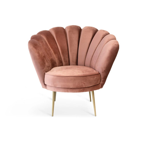 Poltrona conchiglia new - a,