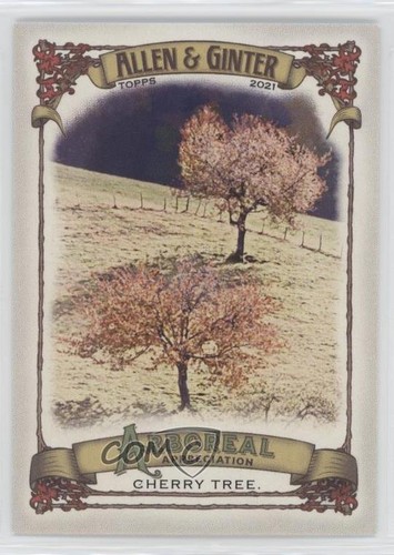 2021 topps allen ginter s - 2021, ginter's