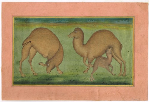 Vintage dipinto arabo - arabo, camel